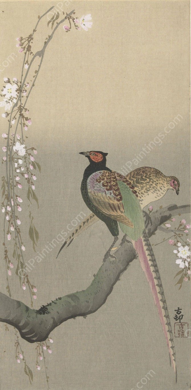 Pair of pheasants and cherry blossom  by Ohara Koson - Hand-Painted Oil Painting Reproduction