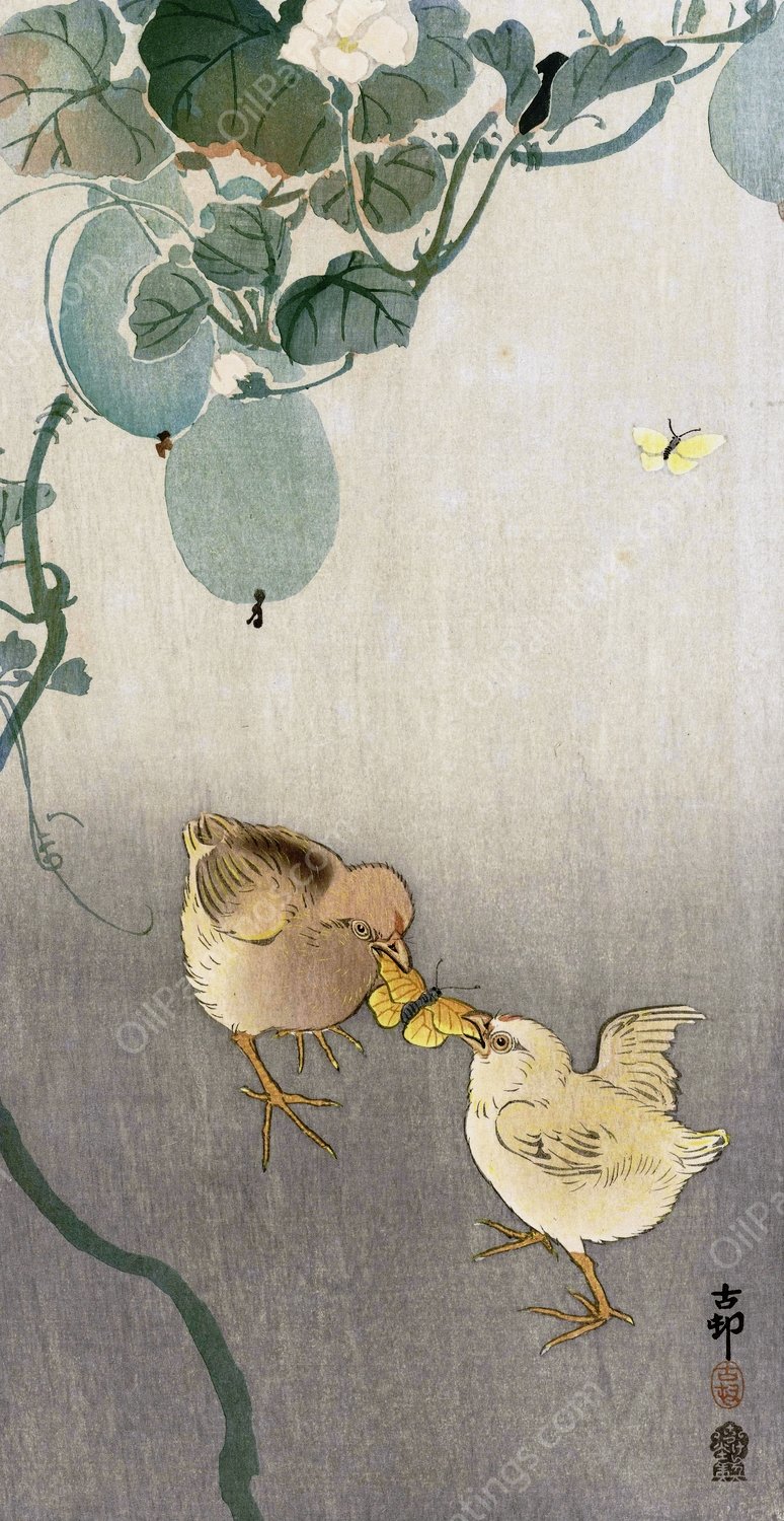 Two chicks fighting for butterfly  by Ohara Koson - Hand-Painted Oil Painting Reproduction
