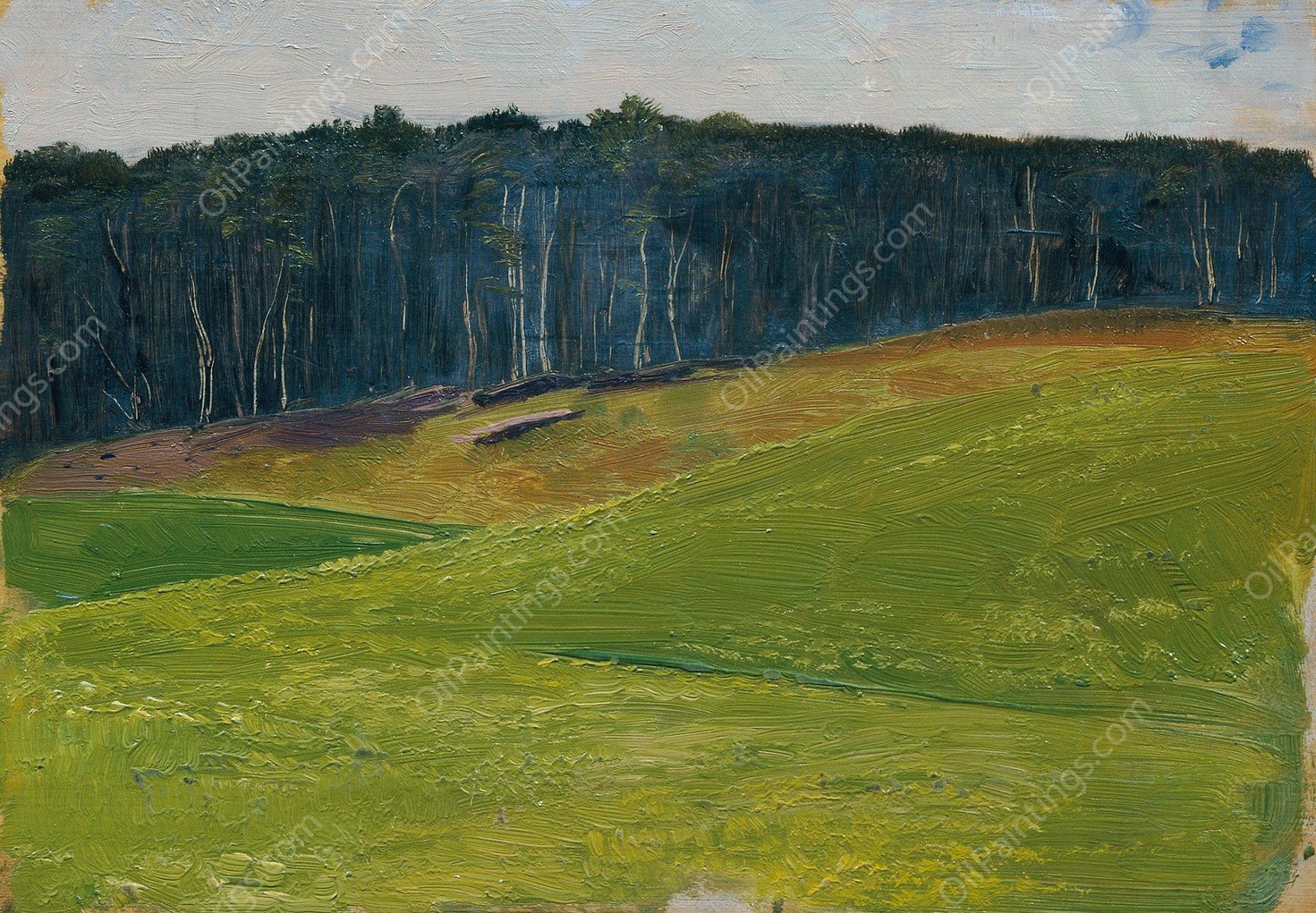 Hellgrune Wiese Gegen Dunkle Waldlisiere  by Otto Friedrich - Hand-Painted Oil Painting Reproduction