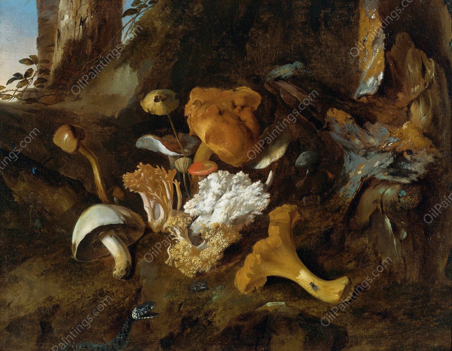 Forest Floor Still Lifes With Mushrooms, Butterflies And A Snake by Otto Marseus Van Schrieck - Hand-Painted Oil Painting Reproduction
