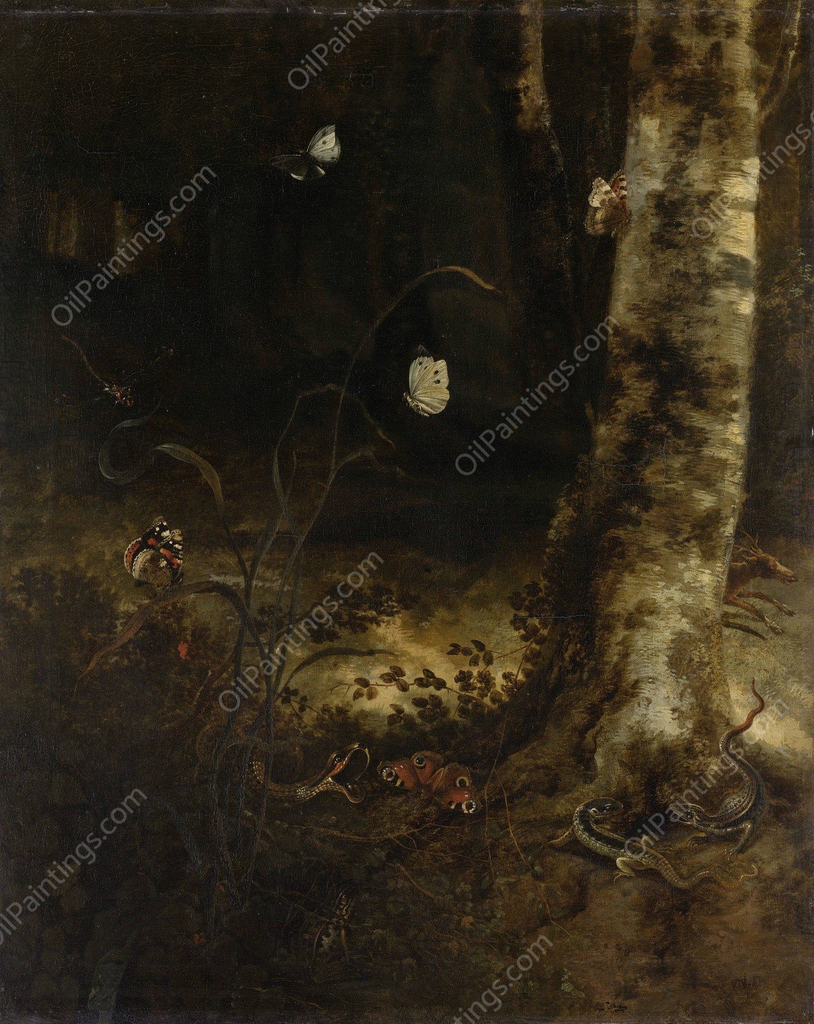 Forest Floor with a Snake, Lizards, Butterflies and other Insects  by Otto Marseus Van Schrieck - Hand-Painted Oil Painting Reproduction