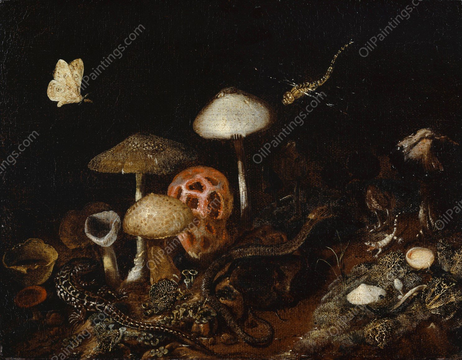 Reptiles, Mushrooms and Butterflies by Otto Marseus Van Schrieck - Hand-Painted Oil Painting Reproduction