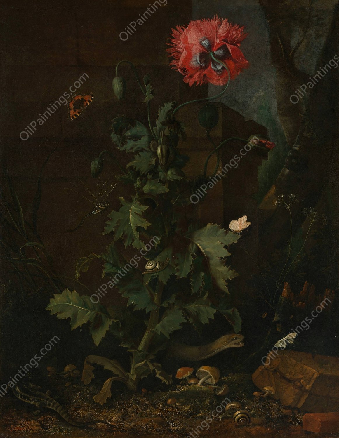 Still Life with Poppy, Insects, and Reptiles  by Otto Marseus Van Schrieck - Hand-Painted Oil Painting Reproduction