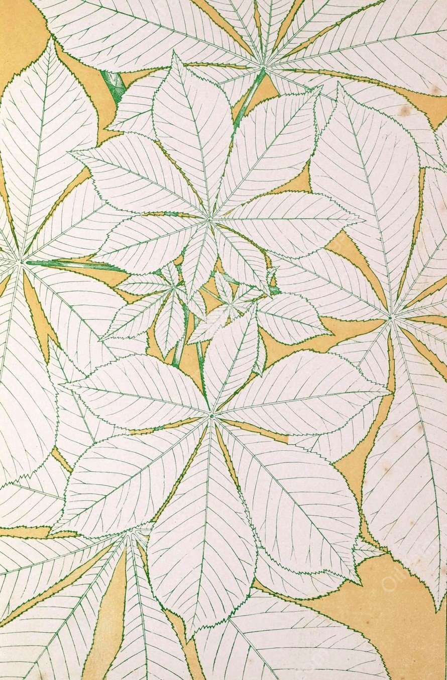 Leaves from Nature No.1  by Owen Jones - Hand-Painted Oil Painting Reproduction