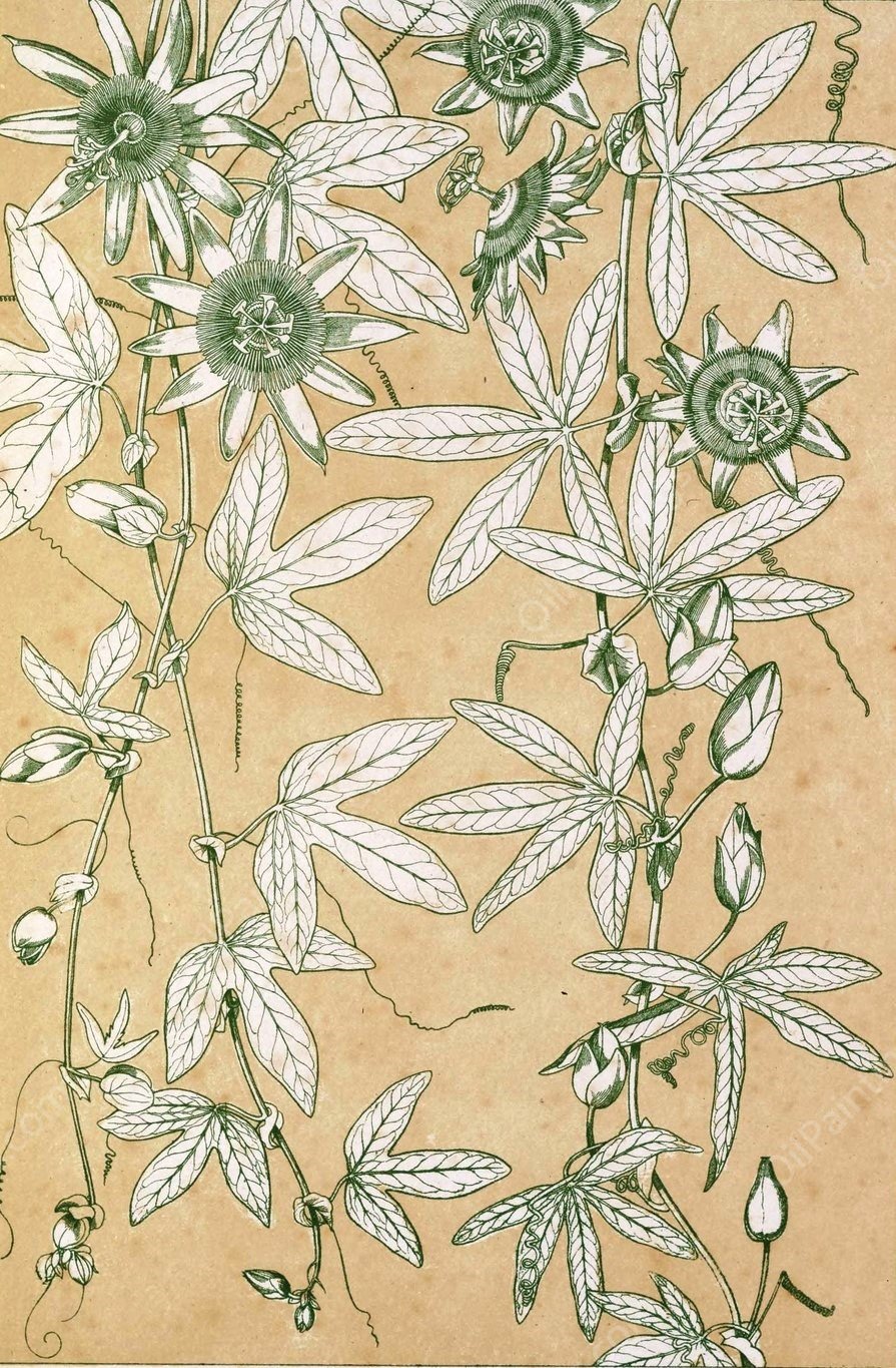 Leaves from Nature No.10  by Owen Jones - Hand-Painted Oil Painting Reproduction