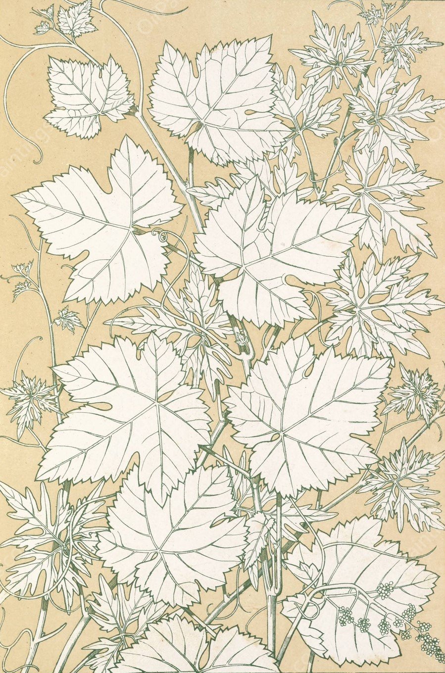 Leaves from Nature No.2  by Owen Jones - Hand-Painted Oil Painting Reproduction