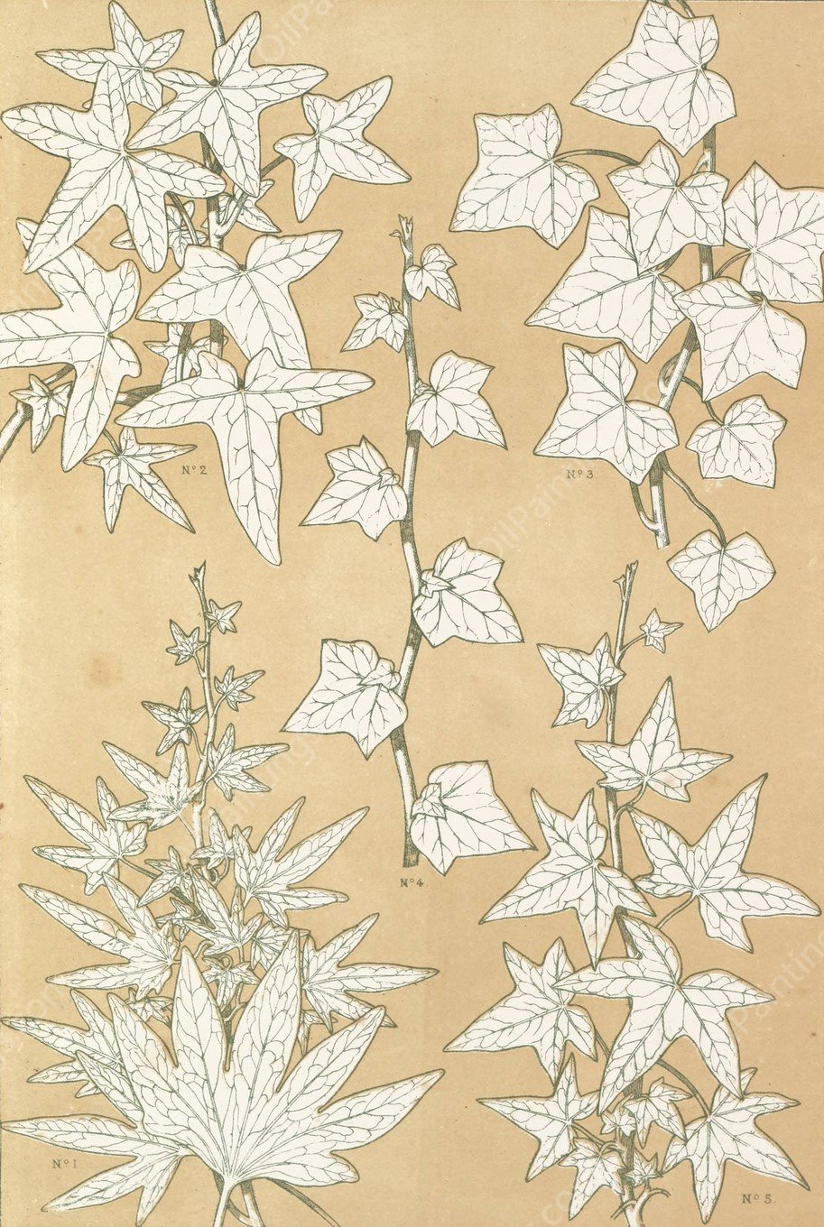 Leaves from Nature No.3  by Owen Jones - Hand-Painted Oil Painting Reproduction