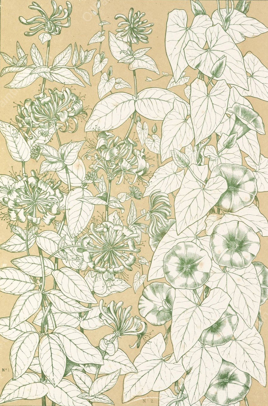 Leaves from Nature No.9  by Owen Jones - Hand-Painted Oil Painting Reproduction