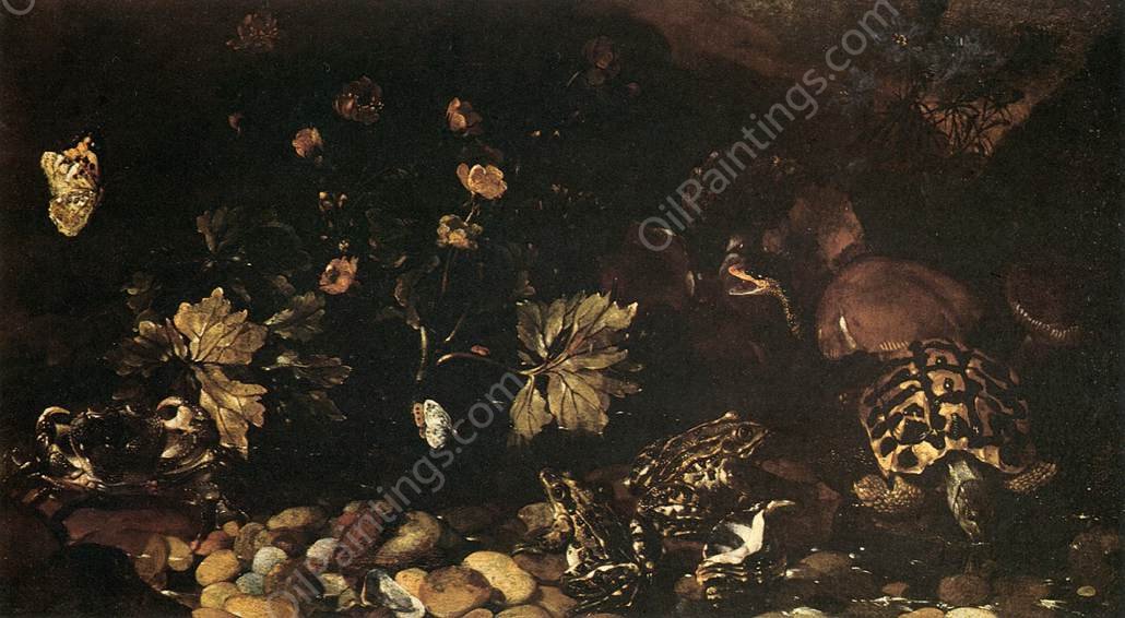 Still-Life with a Snake, Frogs, Tortoise and a Lizard by Paolo Porpora - Hand-Painted Oil Painting Reproduction