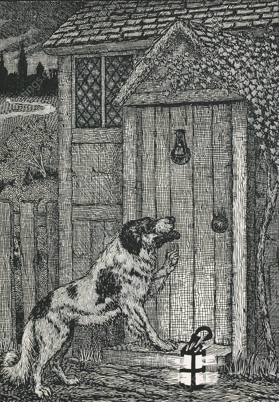 A hundred anecdotes of animals 003  by Percy J. Billinghurst - Hand-Painted Oil Painting Reproduction