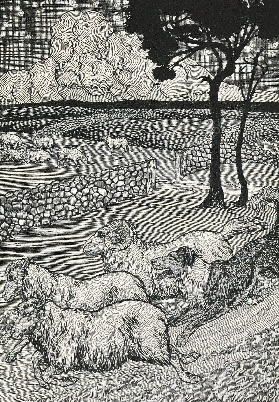 A hundred anecdotes of animals 020  by Percy J. Billinghurst - Hand-Painted Oil Painting Reproduction