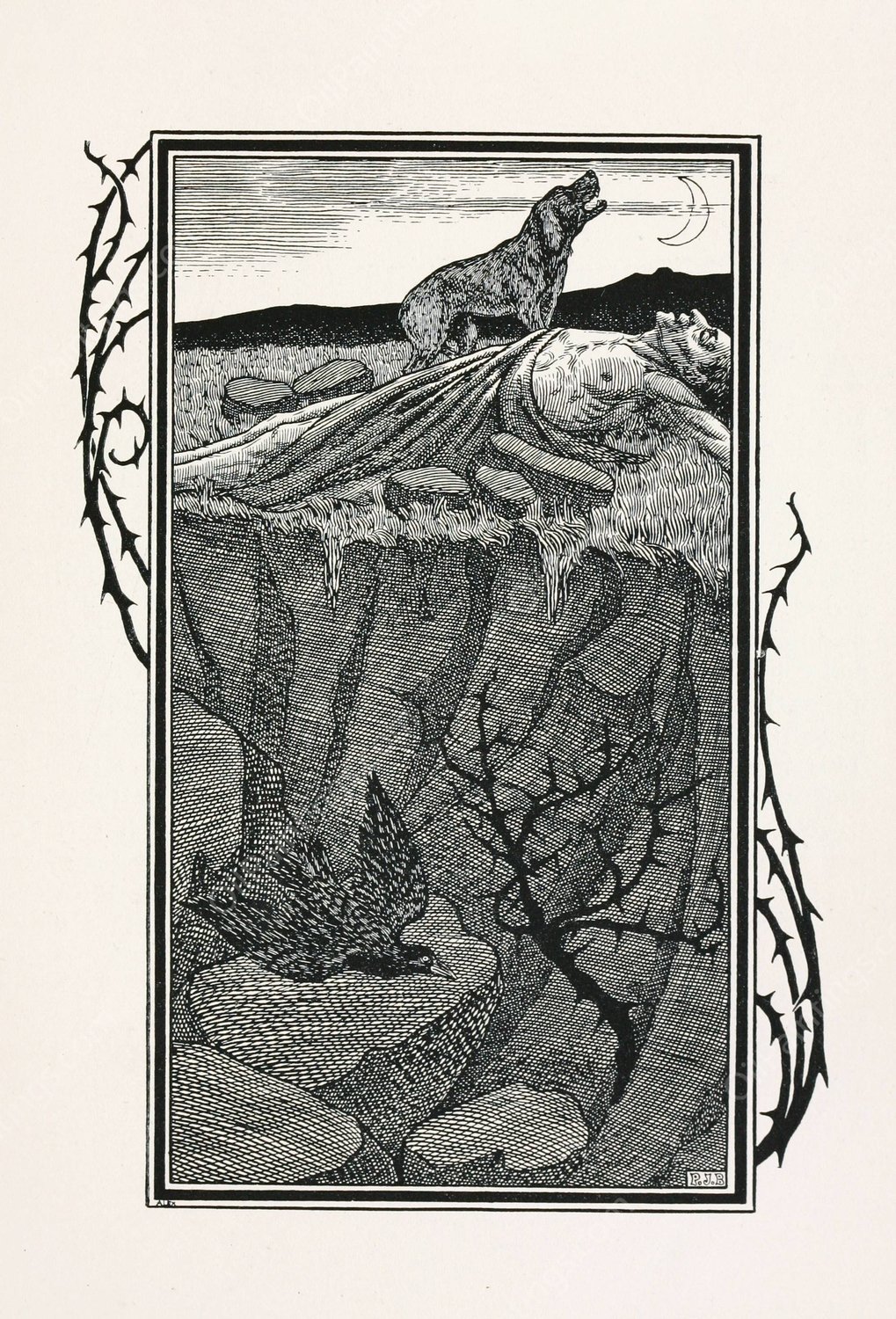 A hundred anecdotes of animals 022  by Percy J. Billinghurst - Hand-Painted Oil Painting Reproduction