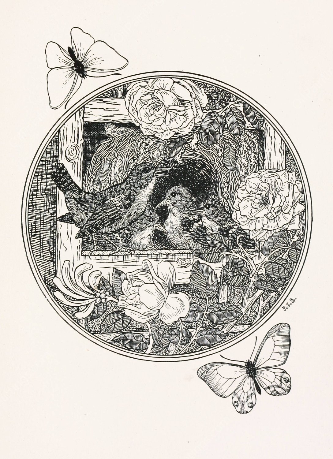 A hundred anecdotes of animals 023  by Percy J. Billinghurst - Hand-Painted Oil Painting Reproduction