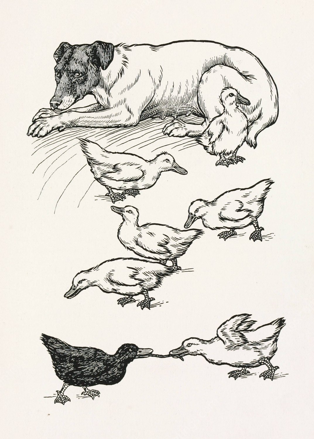 A hundred anecdotes of animals 065  by Percy J. Billinghurst - Hand-Painted Oil Painting Reproduction