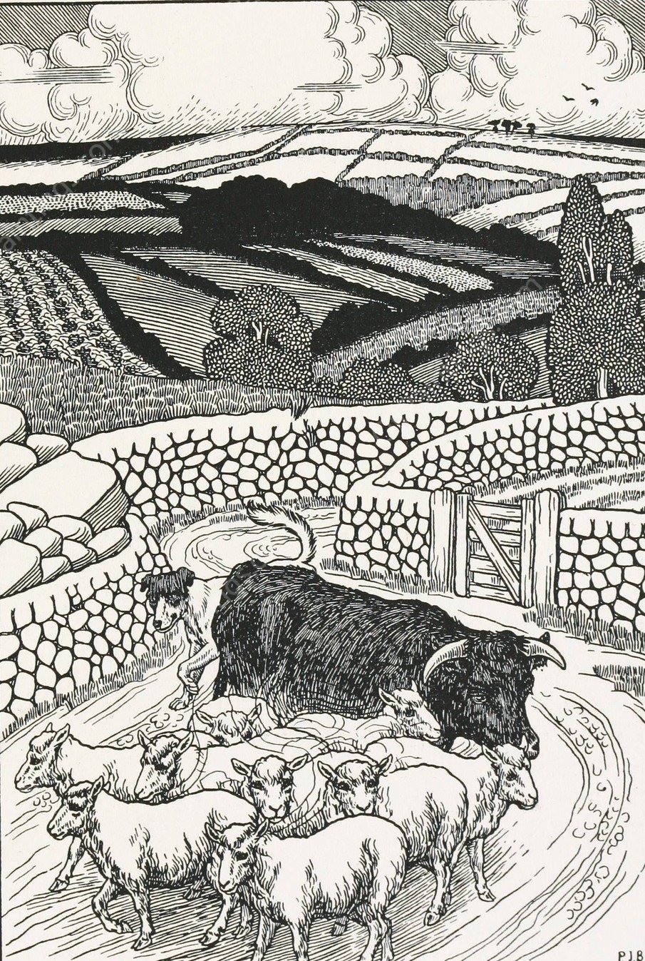 A hundred anecdotes of animals 068  by Percy J. Billinghurst - Hand-Painted Oil Painting Reproduction