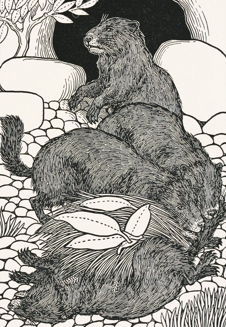 A hundred anecdotes of animals 076  by Percy J. Billinghurst - Hand-Painted Oil Painting Reproduction