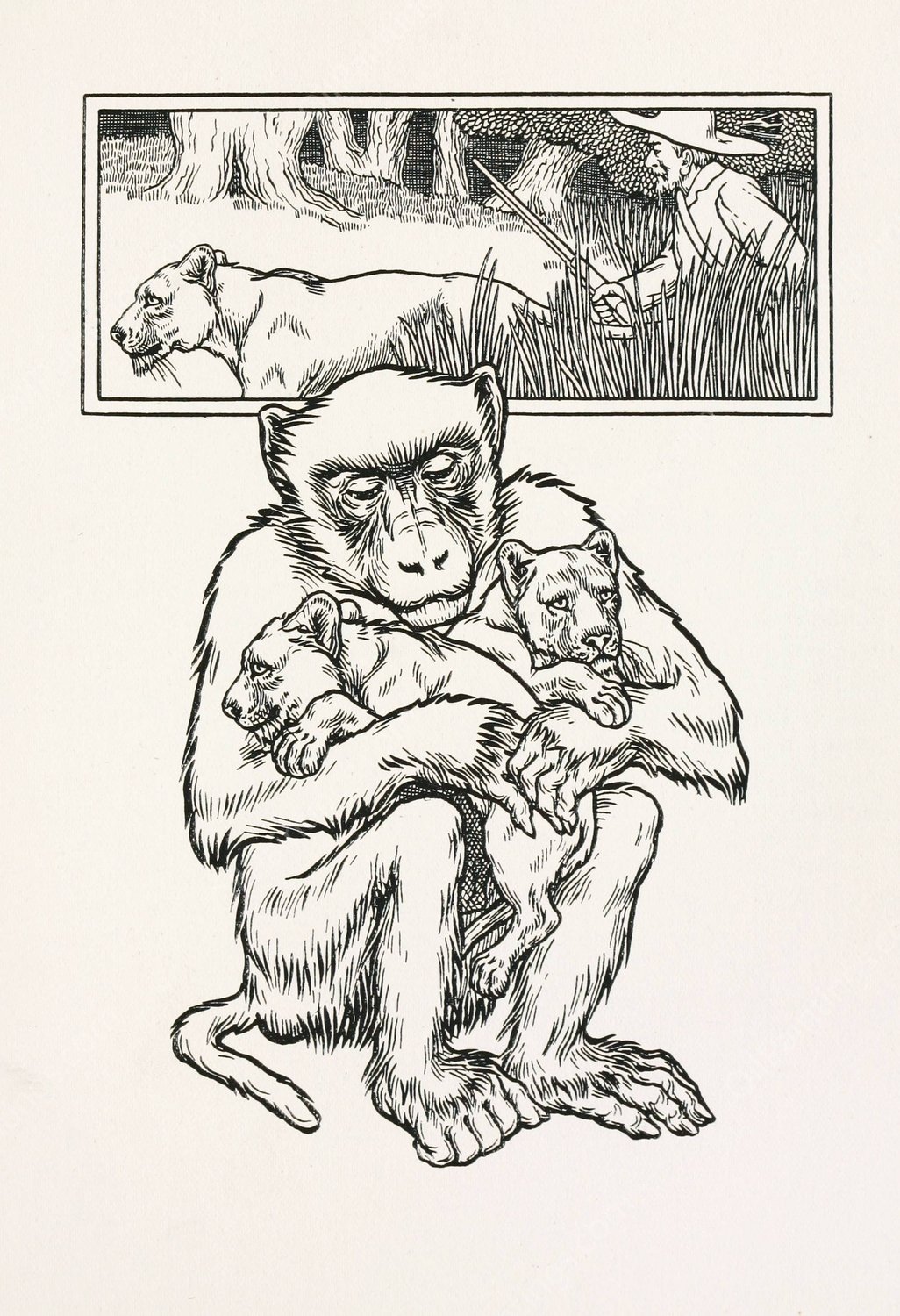 A hundred anecdotes of animals 083  by Percy J. Billinghurst - Hand-Painted Oil Painting Reproduction