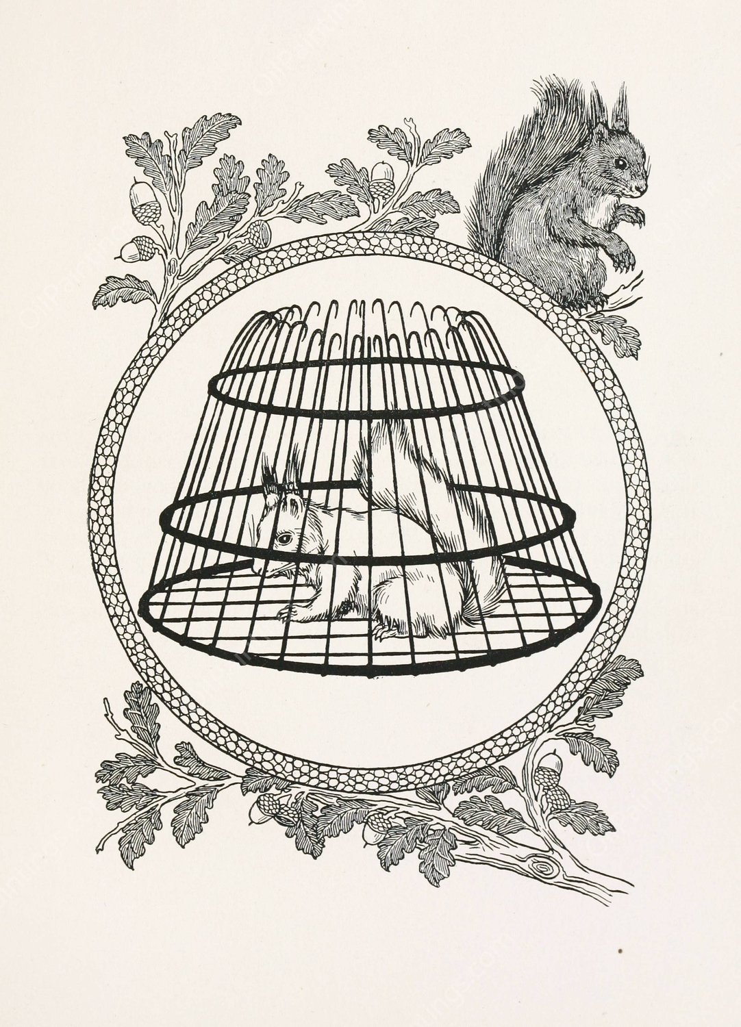 A hundred anecdotes of animals 090  by Percy J. Billinghurst - Hand-Painted Oil Painting Reproduction