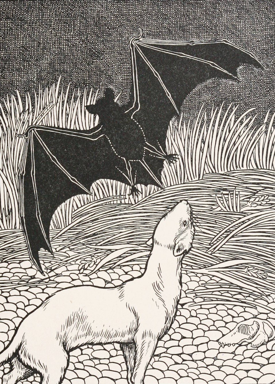 The Bat and the Two Weasels  by Percy J. Billinghurst - Hand-Painted Oil Painting Reproduction