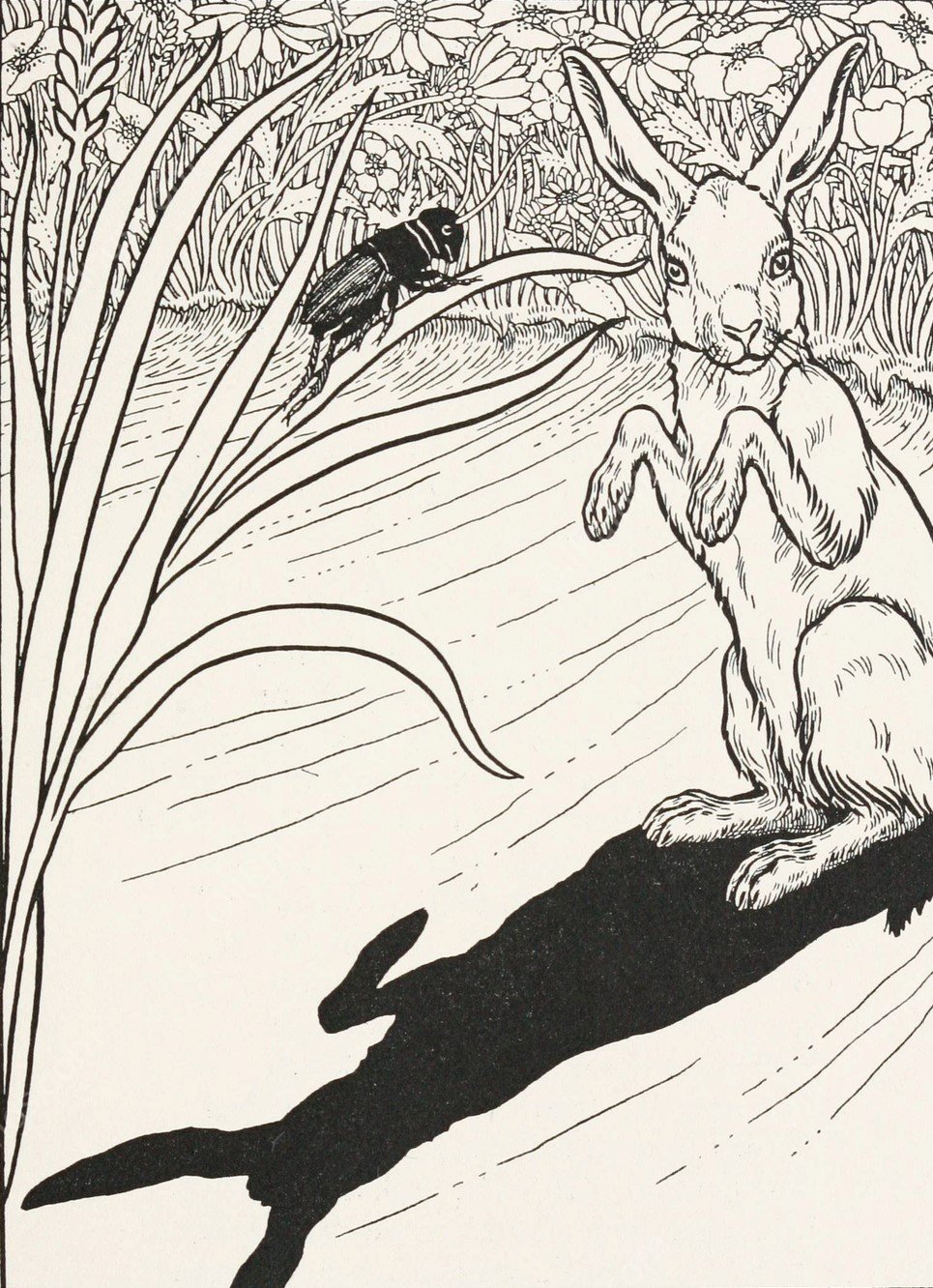 The Ears of the Hare  by Percy J. Billinghurst - Hand-Painted Oil Painting Reproduction