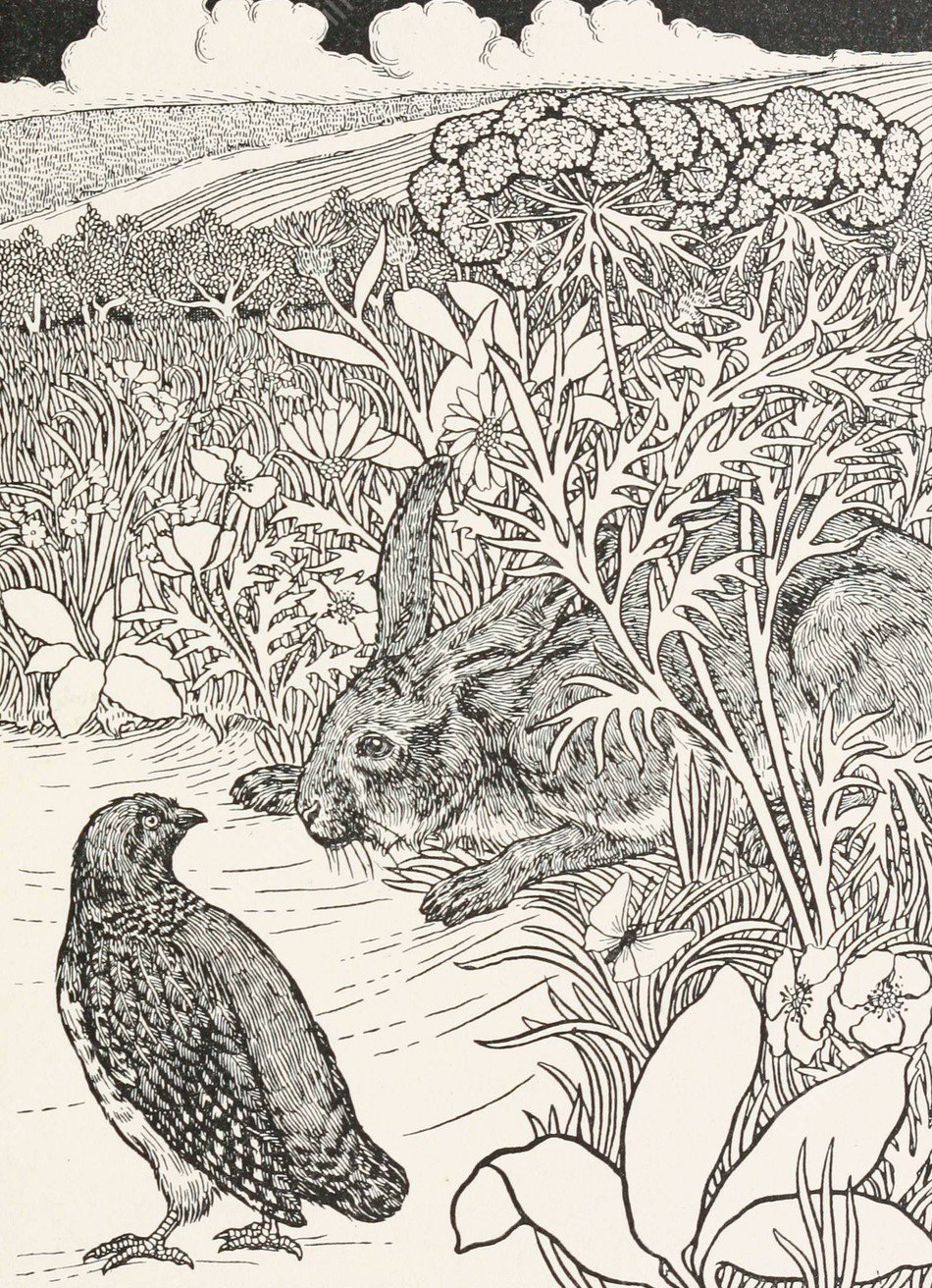 The Hare and the Partridge  by Percy J. Billinghurst - Hand-Painted Oil Painting Reproduction