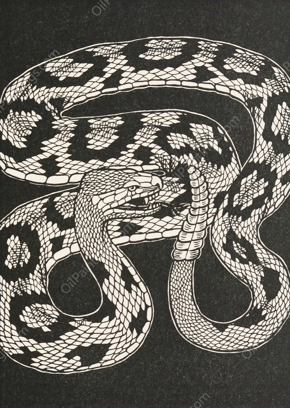 The Head and the Tail of the Serpent  by Percy J. Billinghurst - Hand-Painted Oil Painting Reproduction