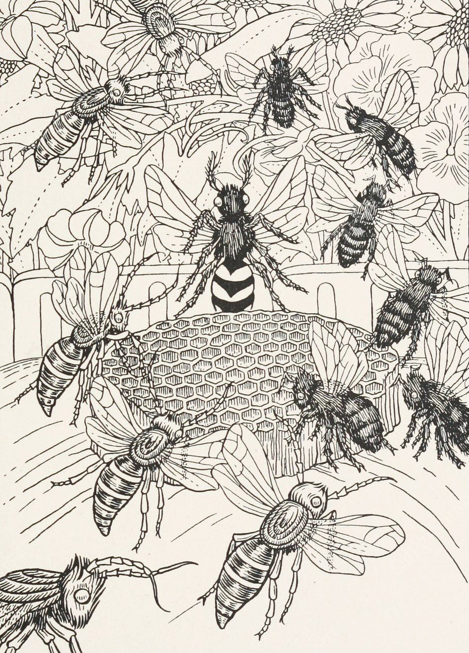 The Hornets and the Bees  by Percy J. Billinghurst - Hand-Painted Oil Painting Reproduction