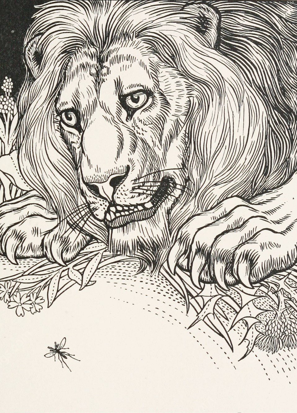 The Lion and the Gnat  by Percy J. Billinghurst - Hand-Painted Oil Painting Reproduction