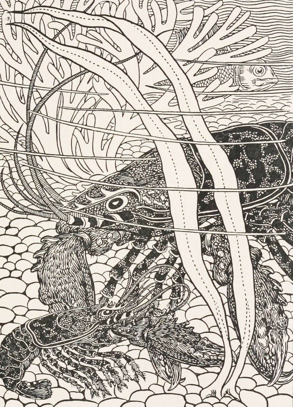 The Lobster and her Daughter  by Percy J. Billinghurst - Hand-Painted Oil Painting Reproduction