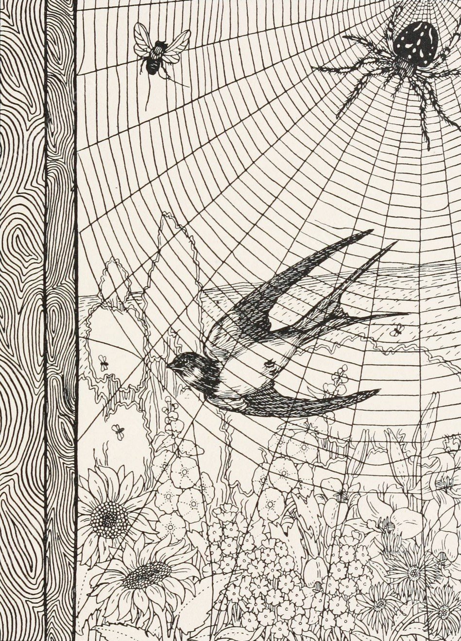 The Spider and the Swallow  by Percy J. Billinghurst - Hand-Painted Oil Painting Reproduction