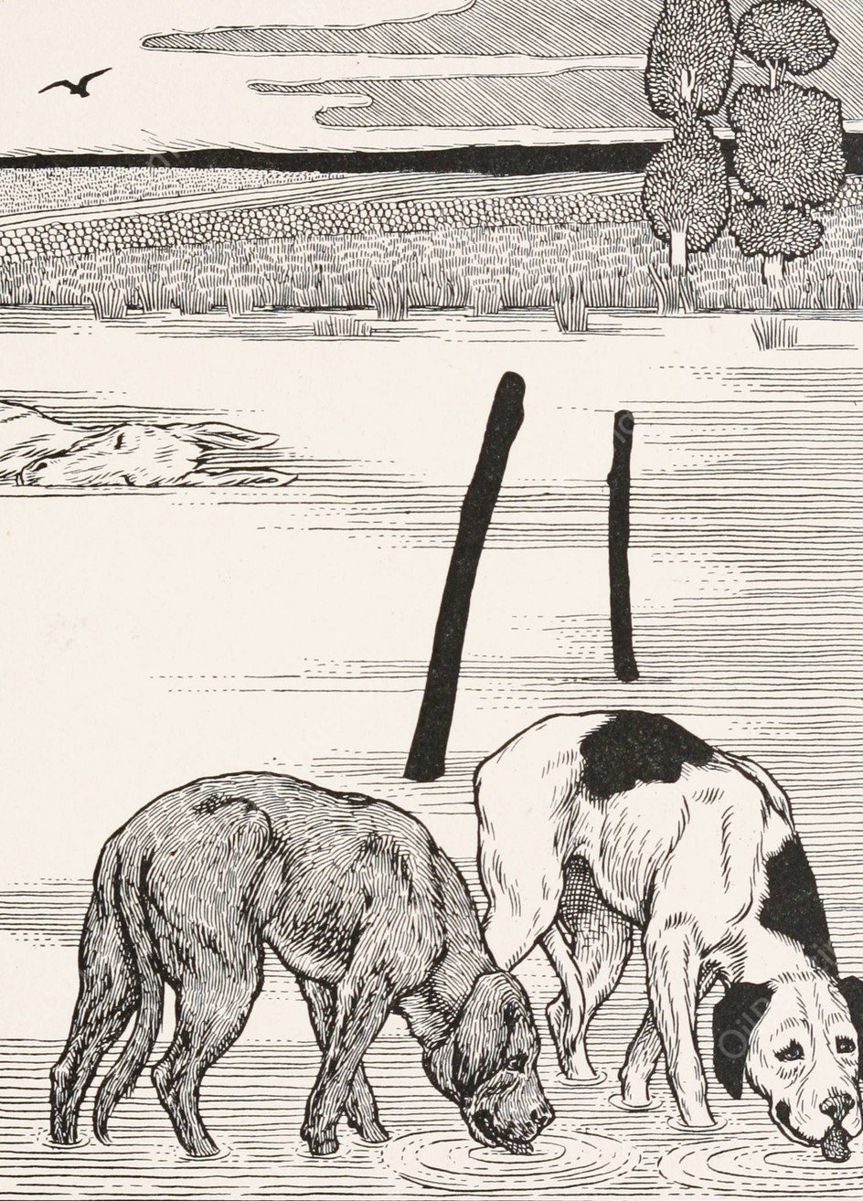 The Two Dogs and the Dead Ass  by Percy J. Billinghurst - Hand-Painted Oil Painting Reproduction