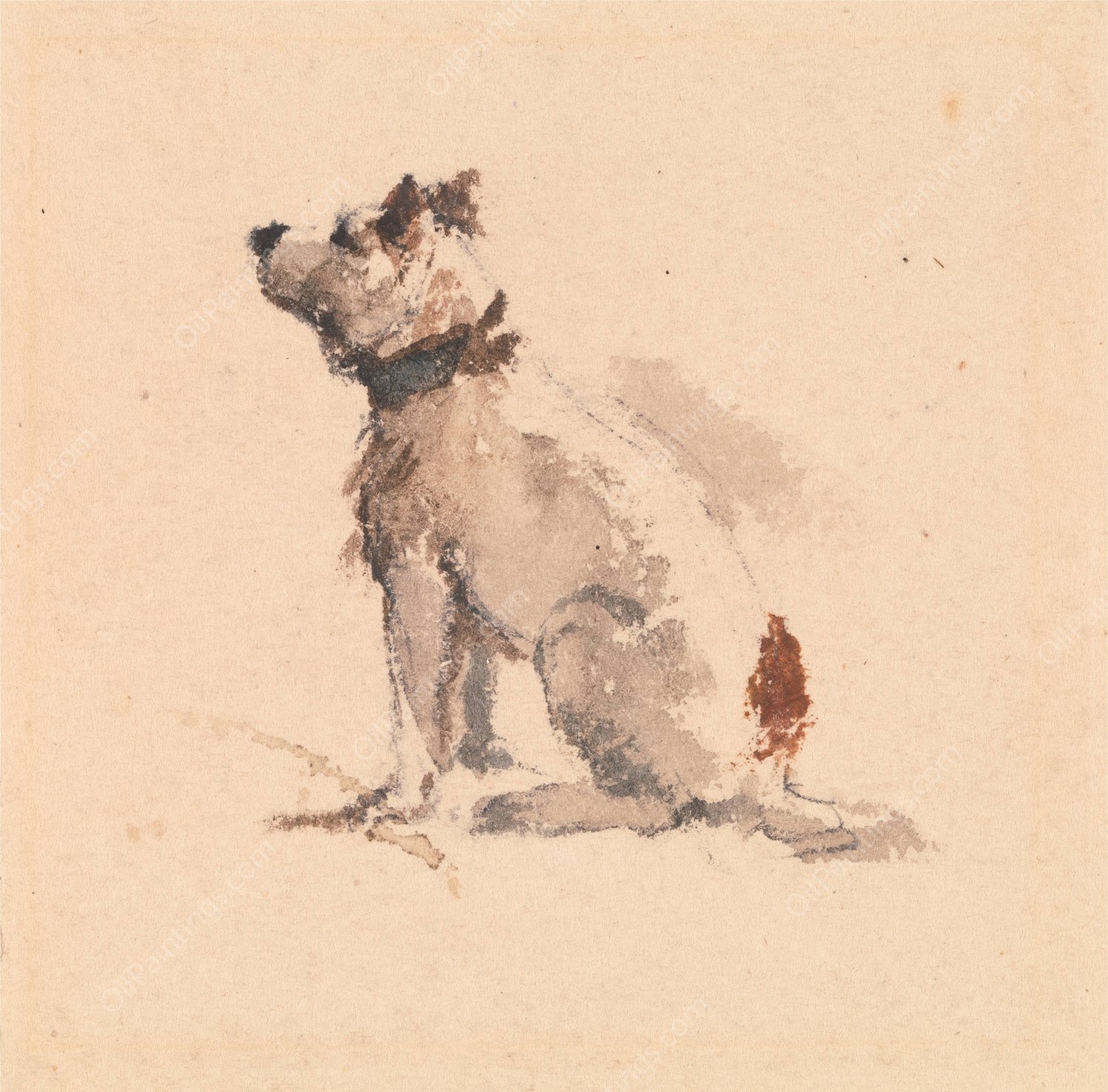 A Terrier, Sitting, Facing Left by Peter Dewint - Hand-Painted Oil Painting Reproduction