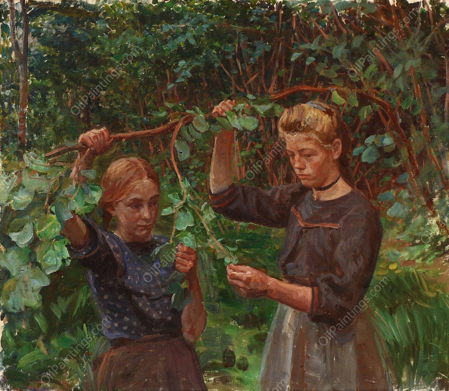 Nodderne plukkes by Peter Hansen - Hand-Painted Oil Painting Reproduction