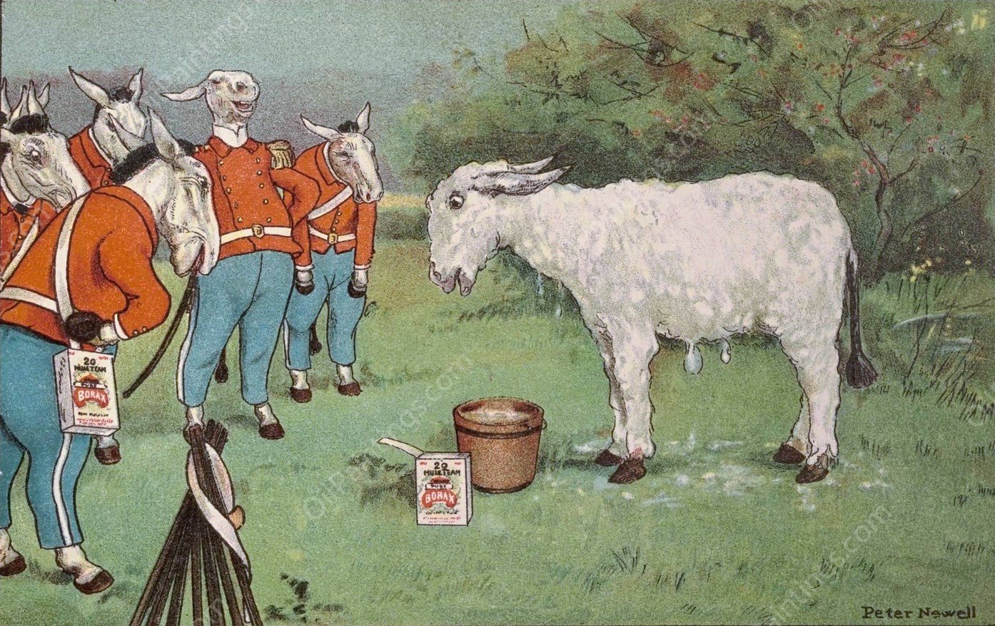 The mules declared he looked just like a great big woolly sheep  by Peter Newell - Hand-Painted Oil Painting Reproduction