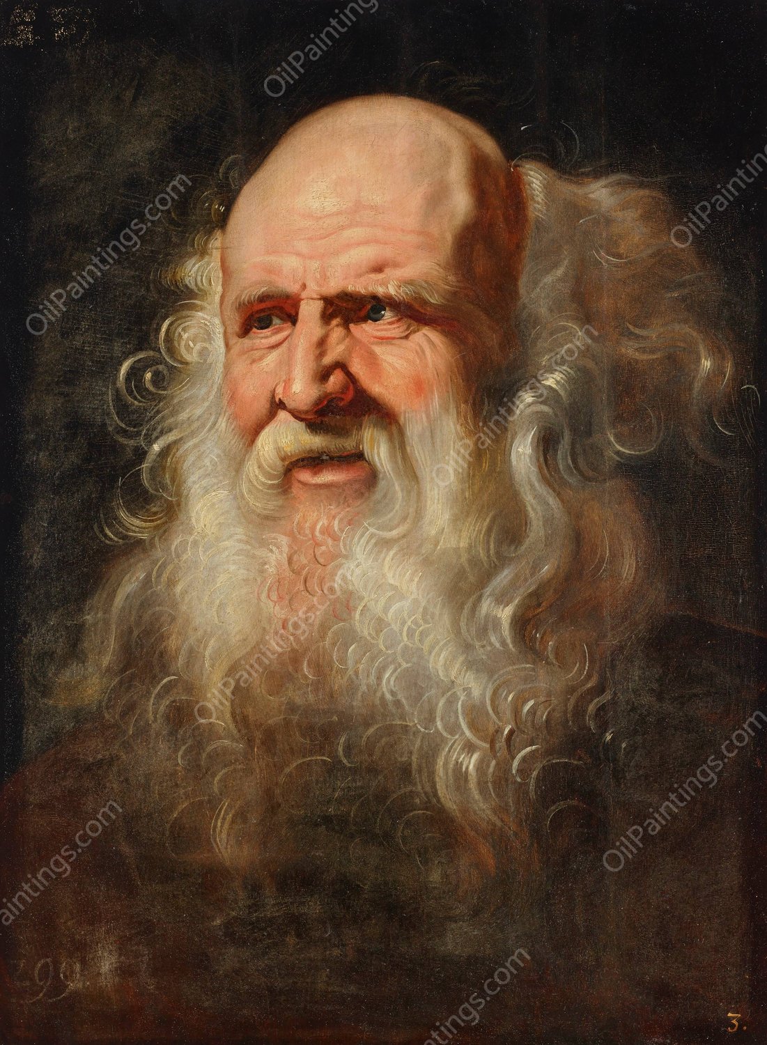 Head study of a man by Peter Paul Rubens (Follower) - Hand-Painted Oil Painting Reproduction