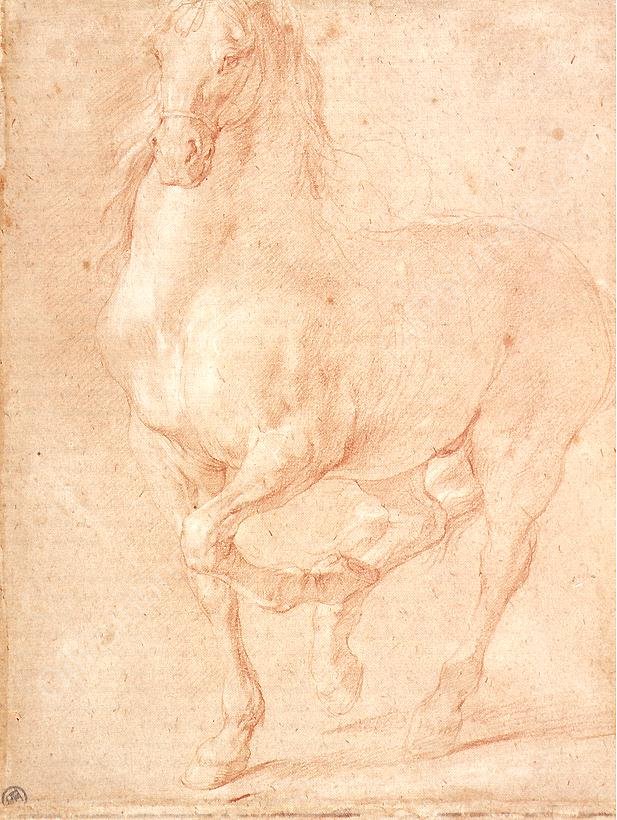 Study of a Horse by Pierre Puget - Hand-Painted Oil Painting Reproduction