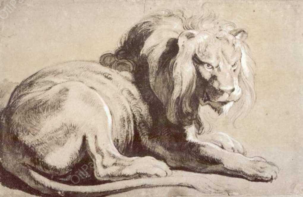 Etude of Lion by Peter Paul Rubens - Hand-Painted Oil Painting Reproduction