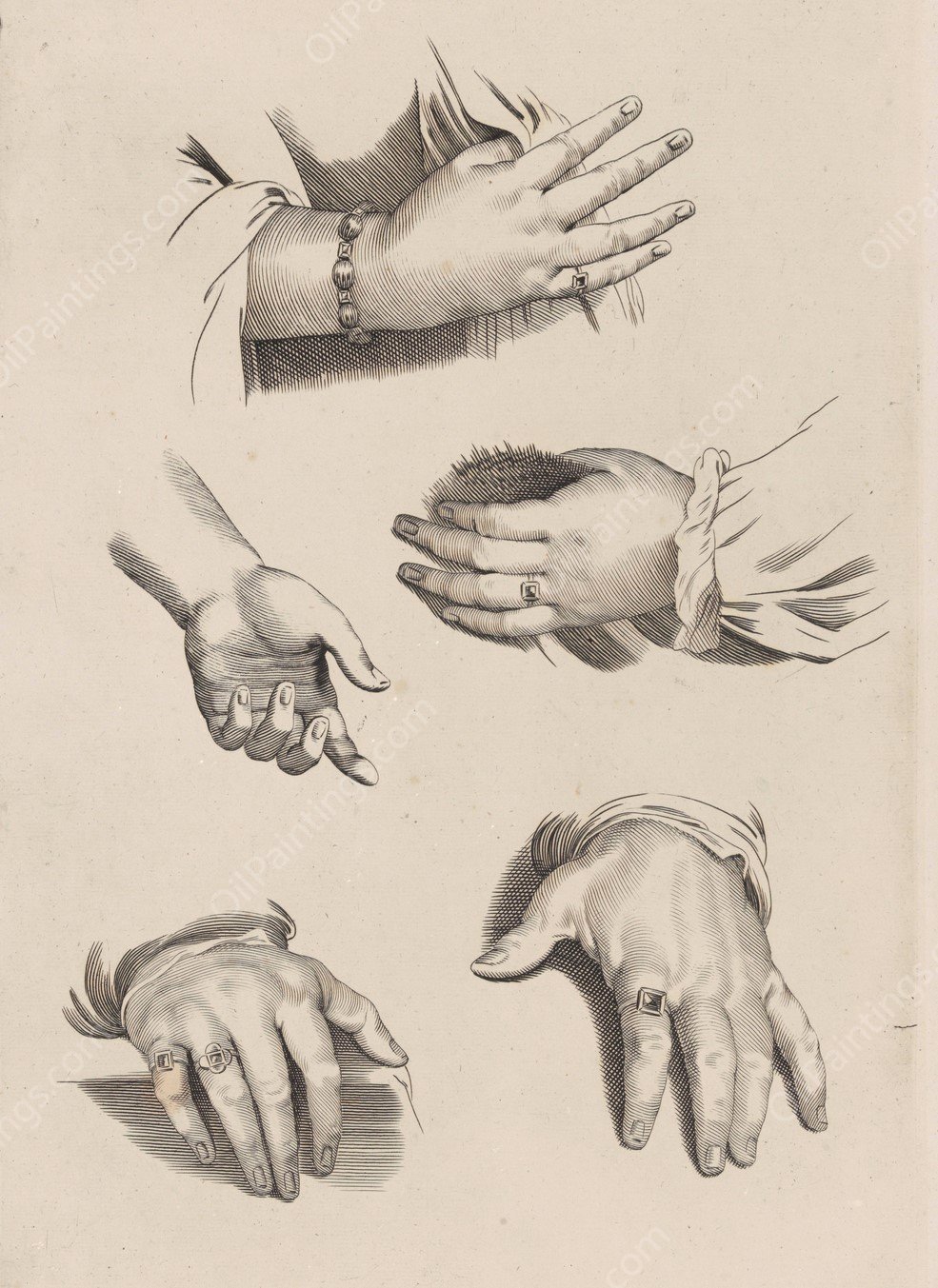 Study of Hands by Peter Paul Rubens - Hand-Painted Oil Painting Reproduction