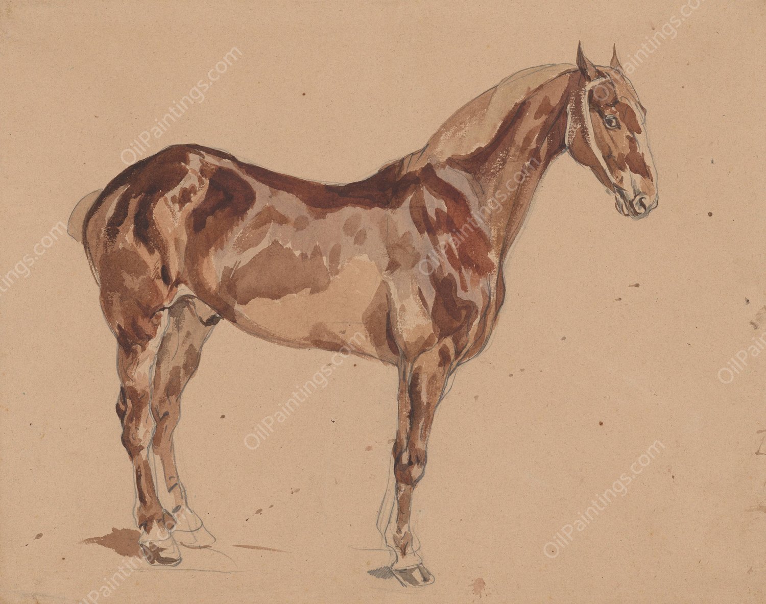 Kon masci kasztanowatej  by Piotr Michalowski - Hand-Painted Oil Painting Reproduction