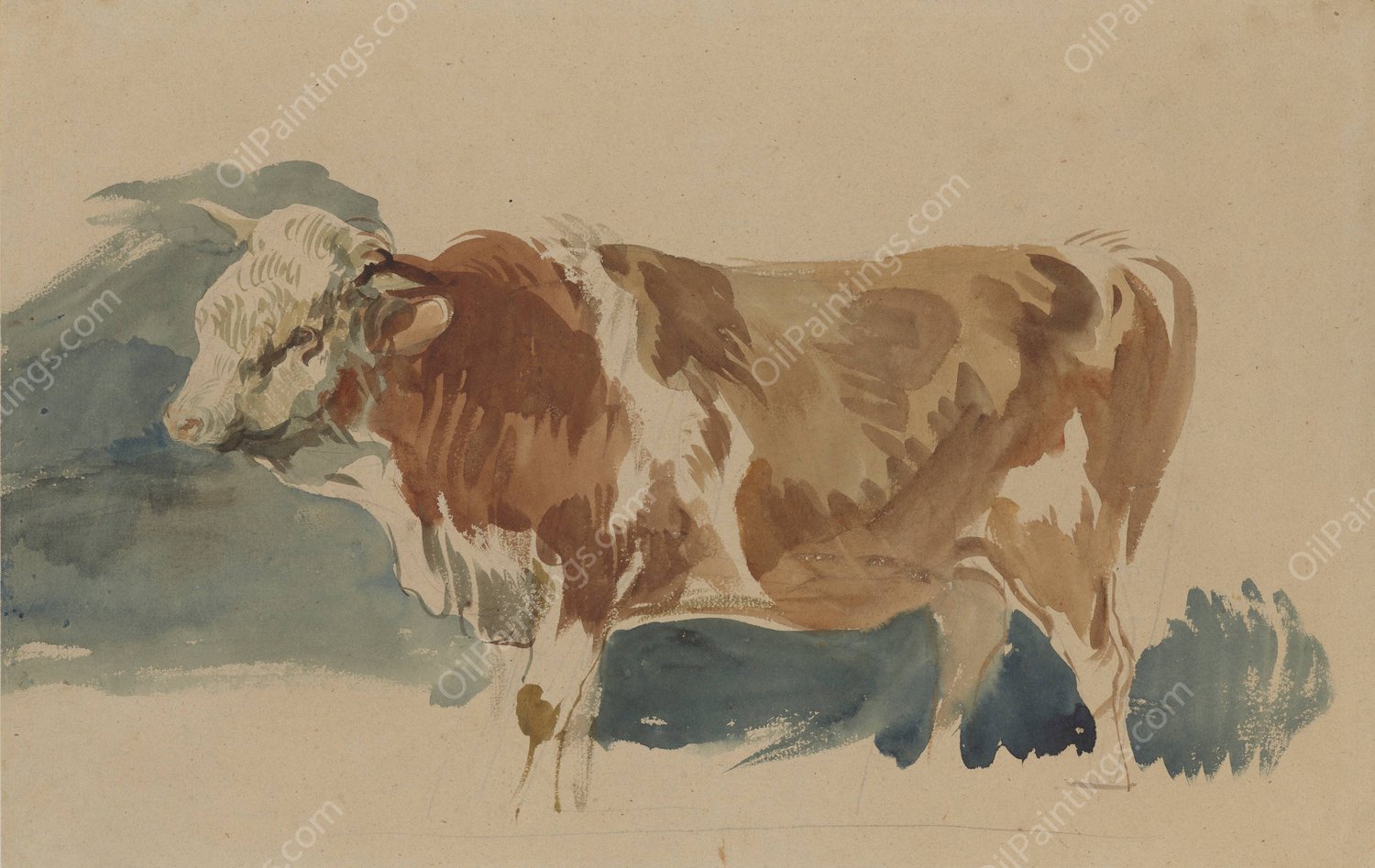 Study of a spotted ox  by Piotr Michalowski - Hand-Painted Oil Painting Reproduction