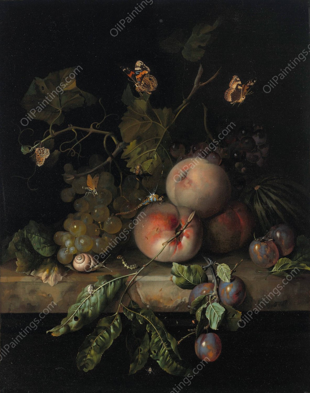 Peaches, grapes and plums with a dragonfly, snail, caterpillar, butterfly and other insects on a stone ledge  by Rachel Ruysch - Hand-Painted Oil Painting Reproduction