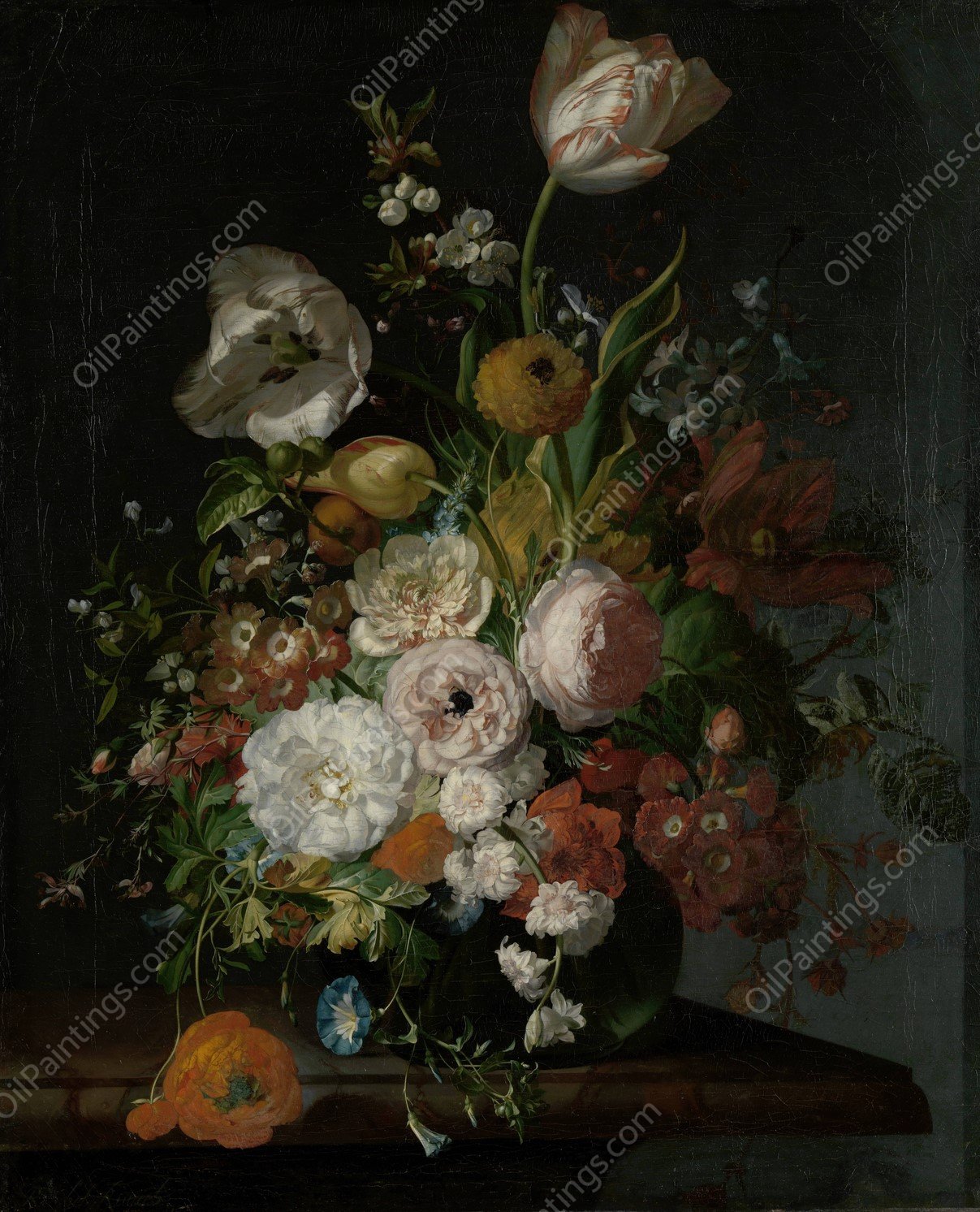 Still Life with Flowers in a Glass Vase  by Rachel Ruysch - Hand-Painted Oil Painting Reproduction