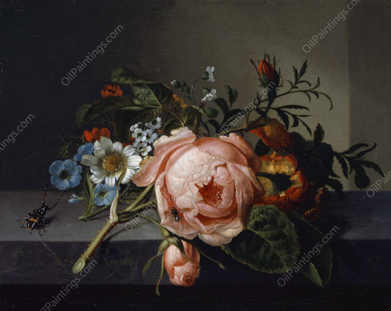 Still Life With Rose Branch, Beetle And Bee  by Rachel Ruysch - Hand-Painted Oil Painting Reproduction