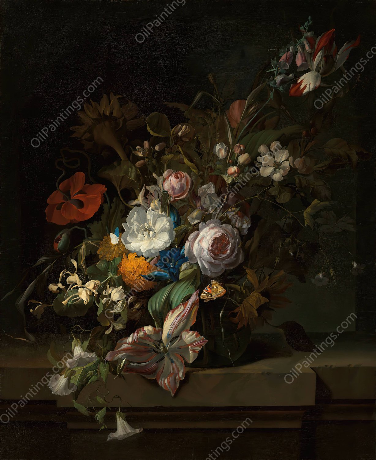 Tulips, rose, honeysuckle, apple blossom, poppies and other flowers in a glass vase, with a butterfly, on a marble ledge by Rachel Ruysch - Hand-Painted Oil Painting Reproduction