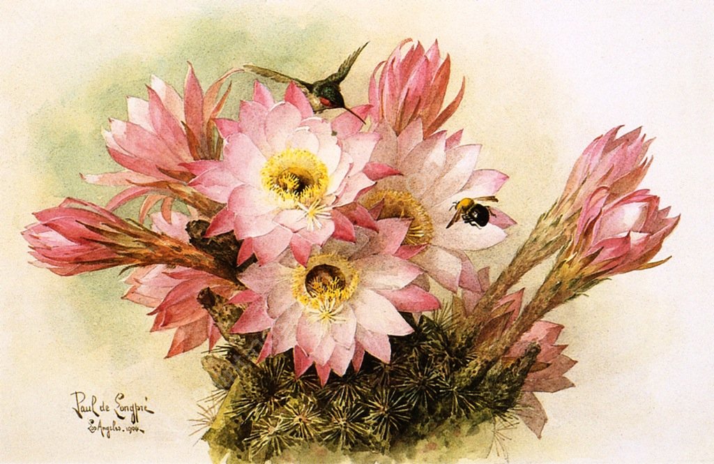 Cactus Blossoms by Raoul De Longpre - Hand-Painted Oil Painting Reproduction