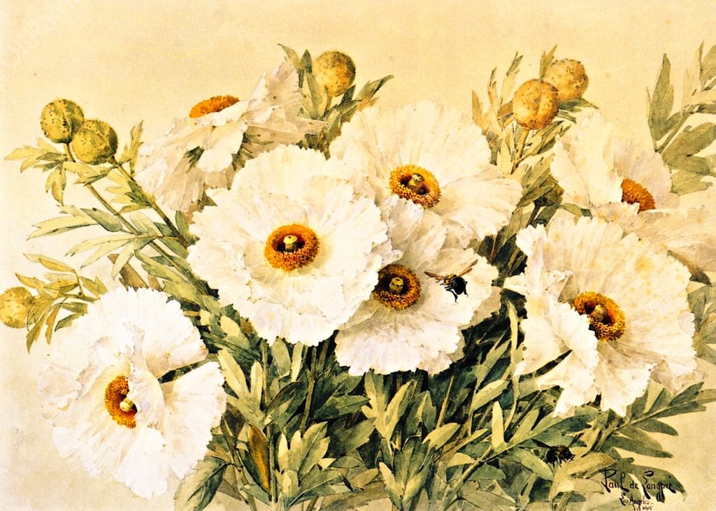 Matilija Poppies by Raoul De Longpre - Hand-Painted Oil Painting Reproduction