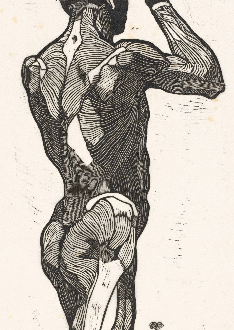 Anatomische studie van de rug- en bilspieren van een man  by Reijer Stolk - Hand-Painted Oil Painting Reproduction