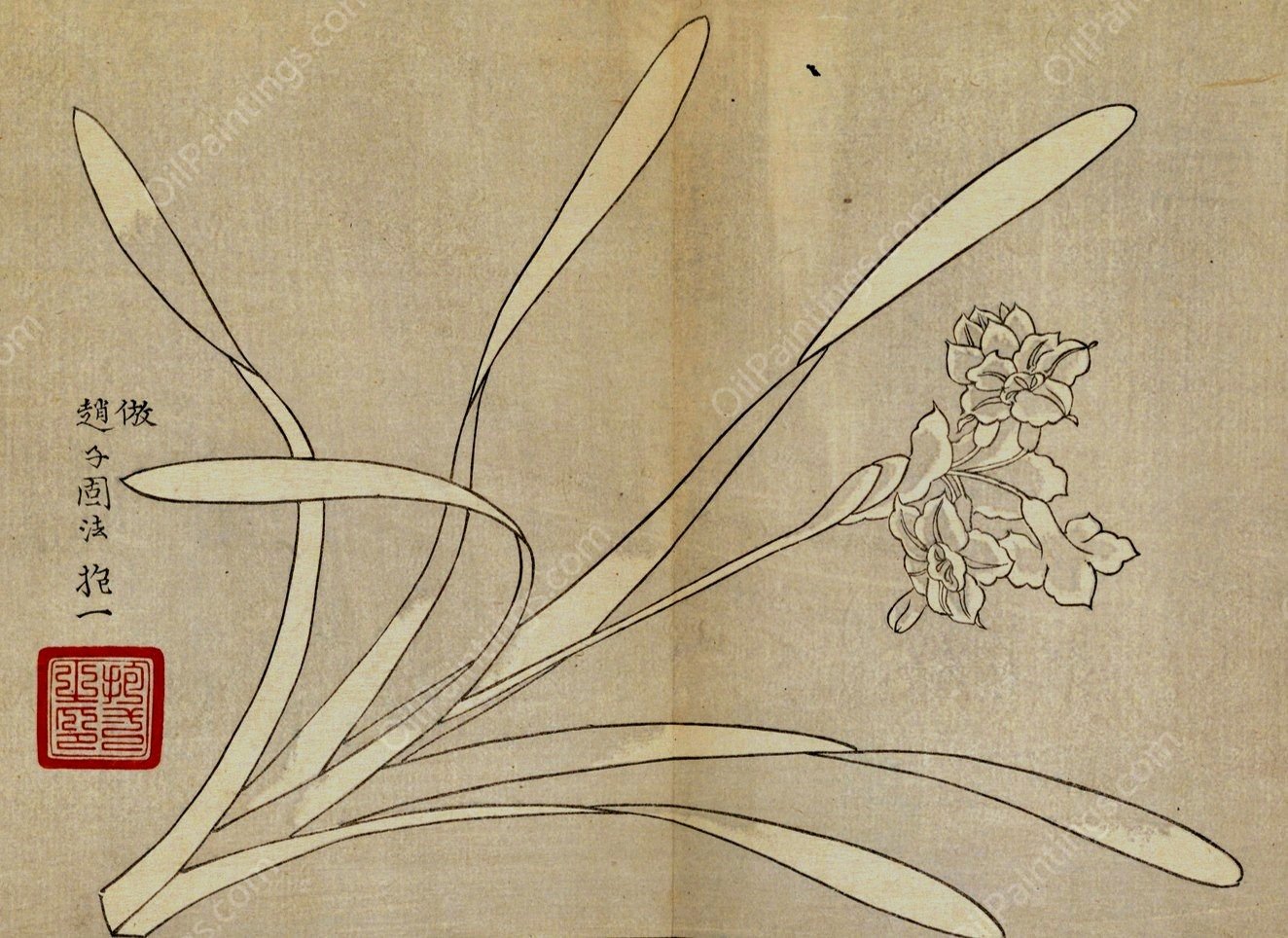 Sakai Hoitsu gajo, Pl.10  by Sakai Hoitsu - Hand-Painted Oil Painting Reproduction