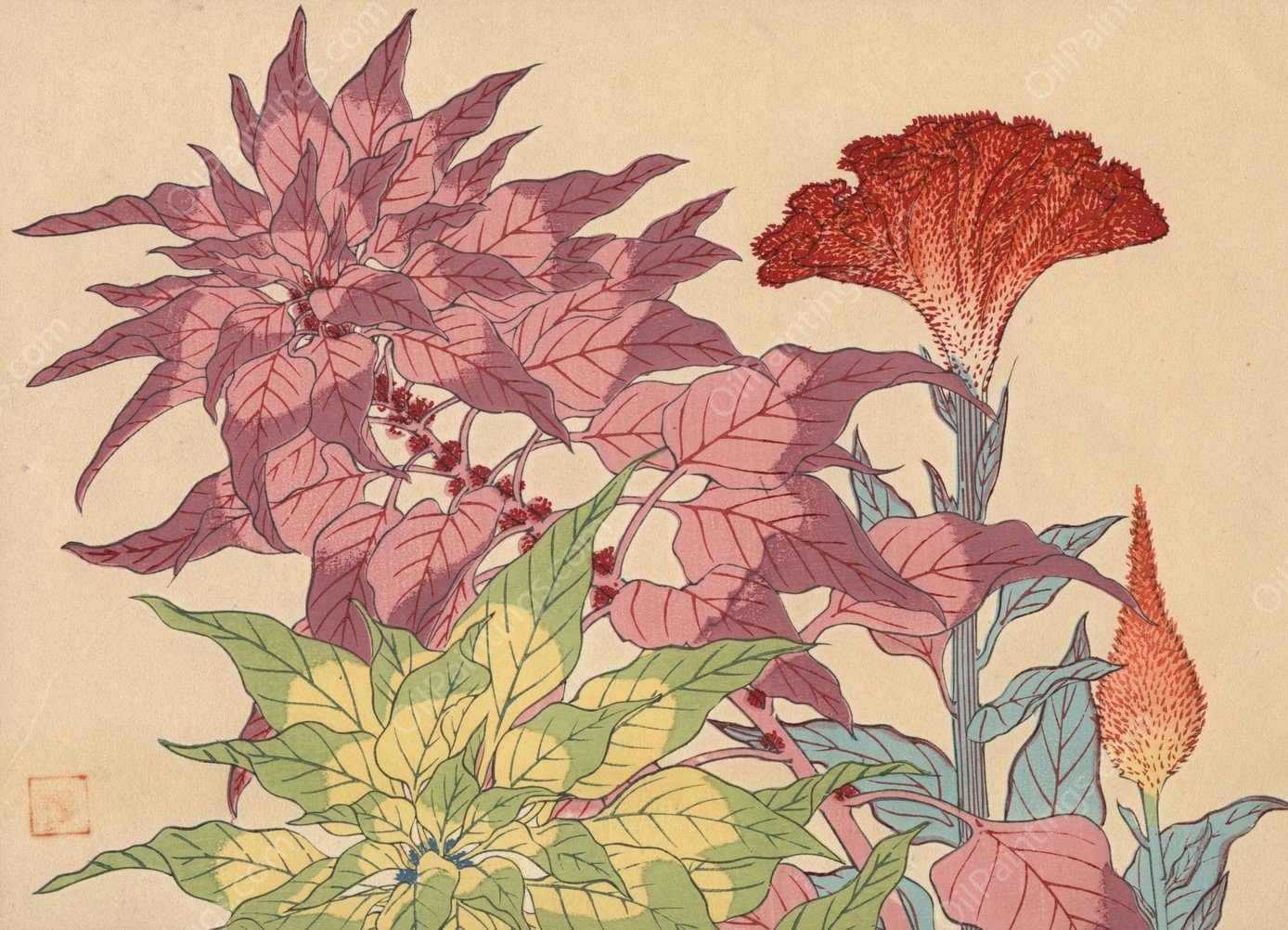 Cocks-comb  by Sakai Hoitsu - Hand-Painted Oil Painting Reproduction