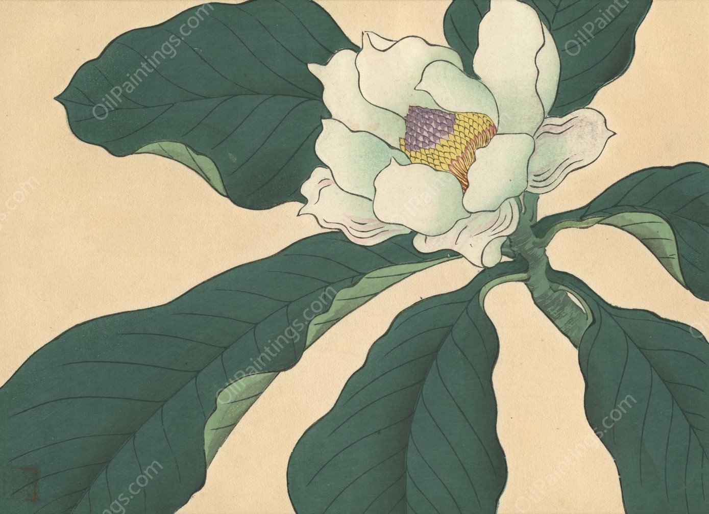 Cucumber tree flowers  by Sakai Hoitsu - Hand-Painted Oil Painting Reproduction